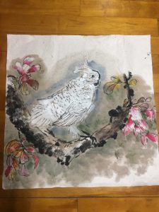 画鹦鹉